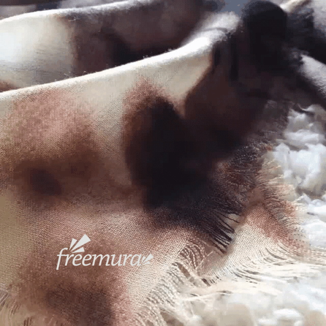 IMG_7078.gif