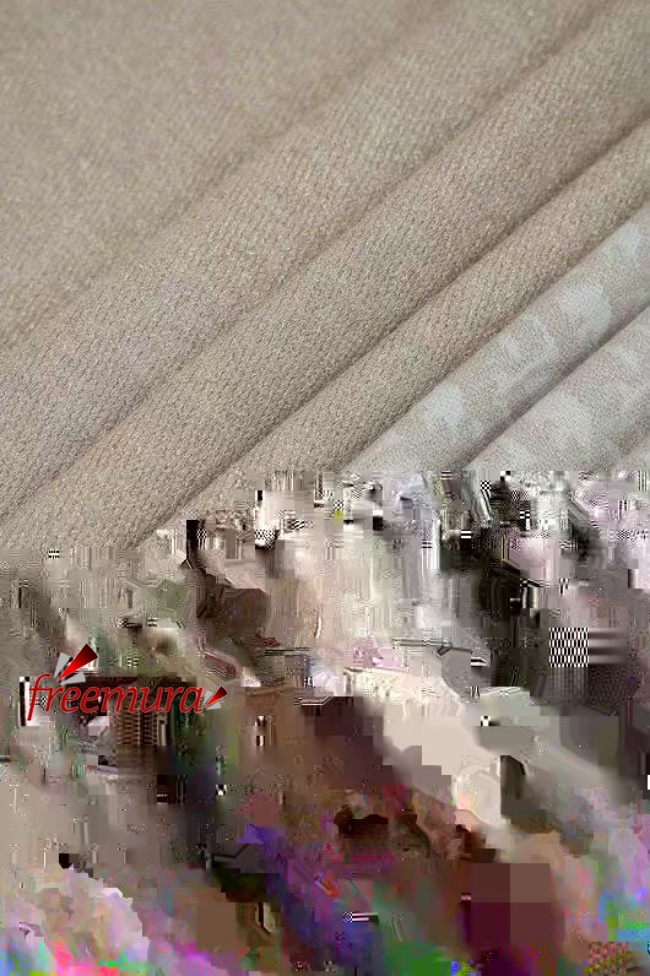 00batch_378501756284775_.pic.jpg