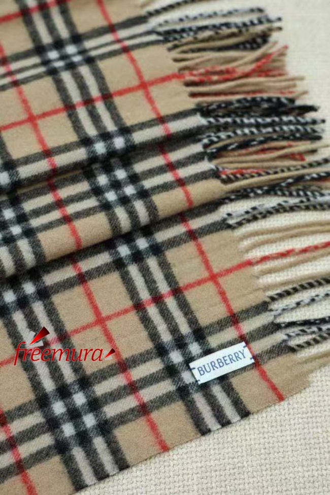 00batch_379191756285043_.pic.jpg
