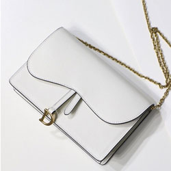 크리스찬디올  클러치WOC백  190123