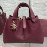 크리스찬디올 Toujours숄더백 M251209S