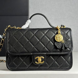 샤넬 25B핸드백 AS2219